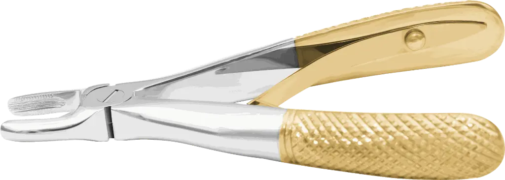 14.1-Upper incisors & Canines - Individual - Gold plated - paediatric -Product pic.webp