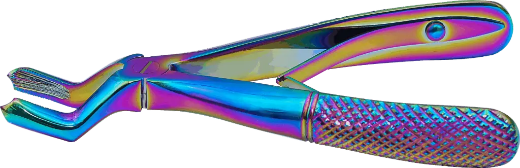 15.3-Klein upper molar  - Individual - rainbow - paediatric -Product pic.webp