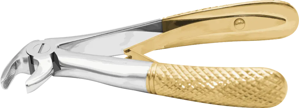 14.5-Lower incisors & Canine - Individual - Gold plated - paediatric -Product pic..webp