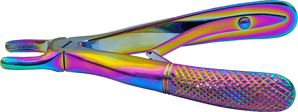 15.1-Upper incisors & Canines - Individual - rainbow - paediatric -Product pic.webp