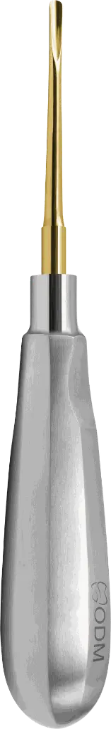 17.1-Root Elevator Luxator 3mm Straight - Gold plated - Adult- product pic.webp