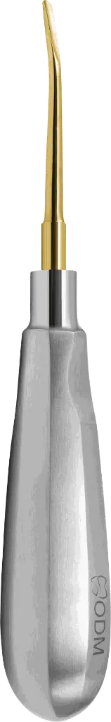 17.5-Root Elevator Luxator  5mm Slightly Curved outward - Gold plated - Adult-product pic.webp