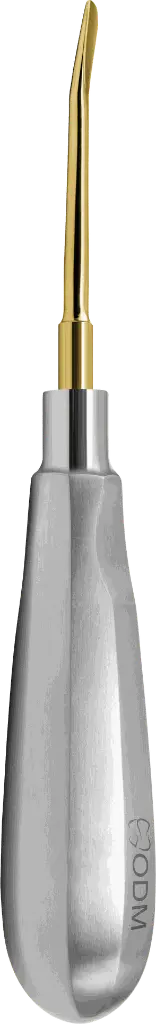 17.6-Root Elevator Luxator  3mm Slightly Curved Inward - Gold plated - Adult-product pic.webp