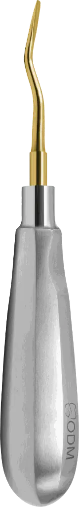 17.7-Root Elevator Luxator  3mm Double Curved and Straight - Gold plated - Adult-product pic.webp