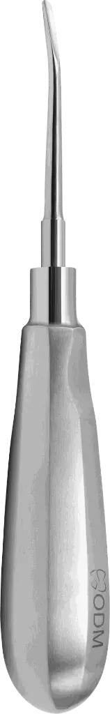 16.5-Root Elevator Luxator  5mm Slightly Curved outward - standard - Adult-product pic.webp