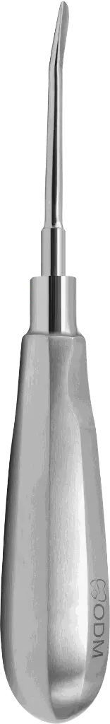 16.6-Root Elevator Luxator  3mm Slightly Curved Inward - standard - Adult-product pic.webp