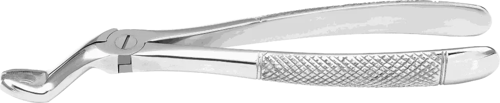 9.5-Upper Third Molars - Individual - Standard-product pic.webp