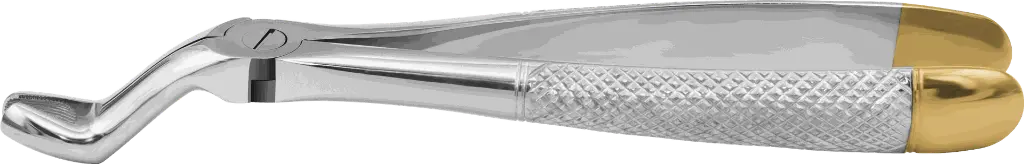 10.5-Upper Third Molars - Individual - Gold Plated-Product pic.webp