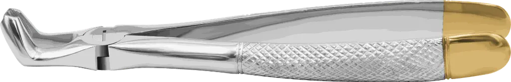 10.10-Lower Roots - Individual - Gold Plated-Product pic.webp