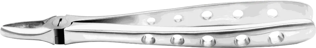 11.1-Upper incisors & Canines - Individual -Anatomical Handle- Product pic.webp