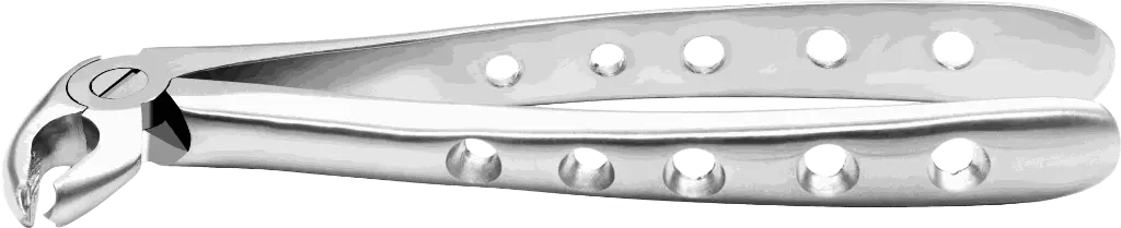 11.9-Lower Molars - Individual - Anatomical Handle product pic.webp