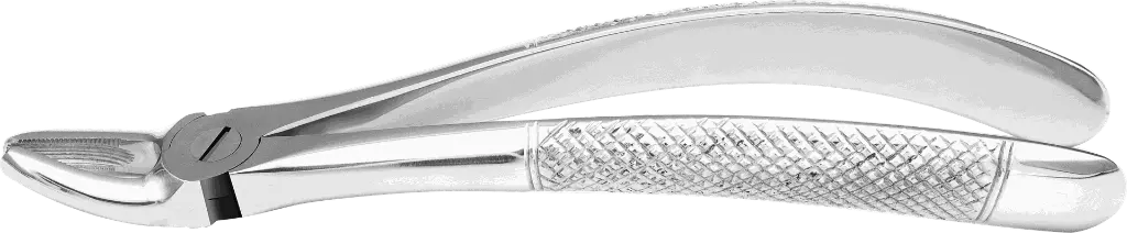 9.2-Upper Premolars - Individual - Standard -Product pic.webp