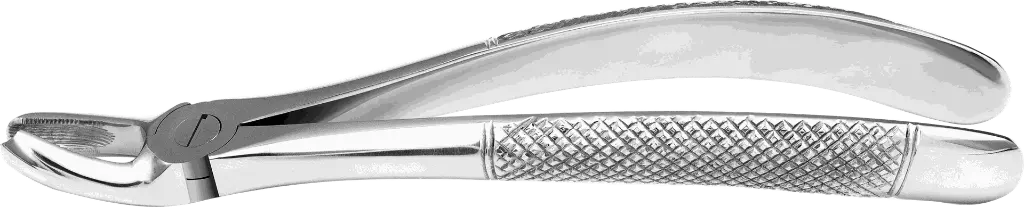 9.3-Upper Molars, Right - Individual - Standard-product pic.webp