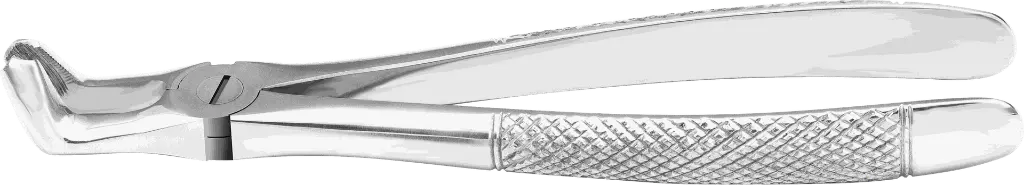 9.10-Lower Roots  - Individual - Standard- product pic .webp