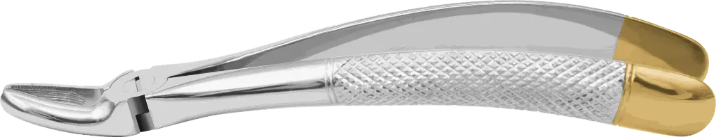 10.2-Upper Premolars - Individual - Gold Plated-Product pic.webp