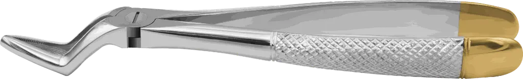 10.6-Upper Roots - Individual - Gold Plated- product pic.webp