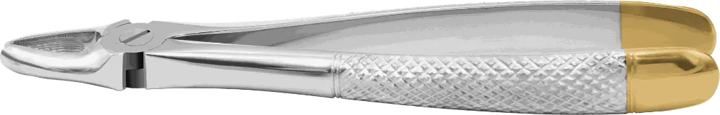 10.1-Upper incisors & Canines - Individual - Gold Plated -Product pic .webp