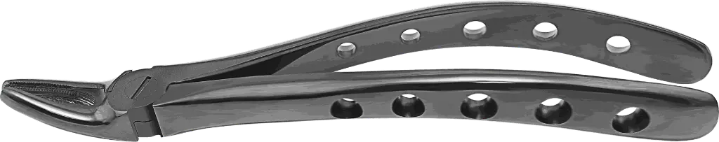 12.2-Upper Premolars - Individual - Plasma Black- product pic.webp