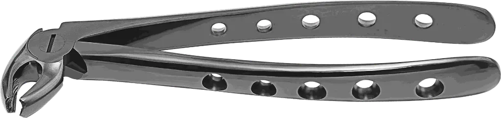 12.9-Lower Molars - Individual - Plasma Black-product pic.webp