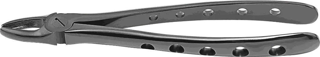 12.1-Upper incisors & Canines - Individual -Plasma Black -product pic.webp