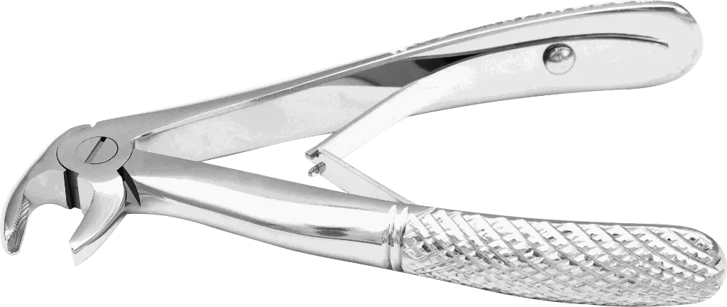 13.5-Lower incisors & Canine - Individual - Standard - paediatric -Product pic.webp