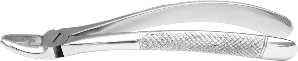 Upper Premolars - Individual - Standard