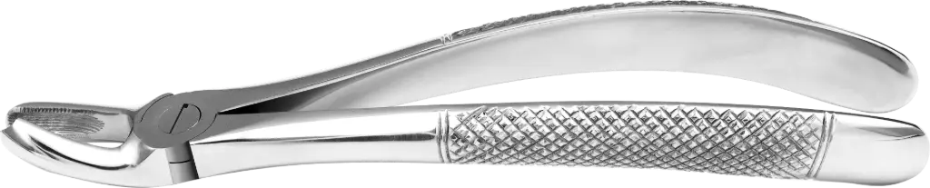 Upper Molars, Right - Individual - Standard