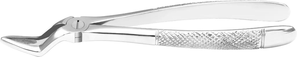 Upper Roots - Individual -Standard