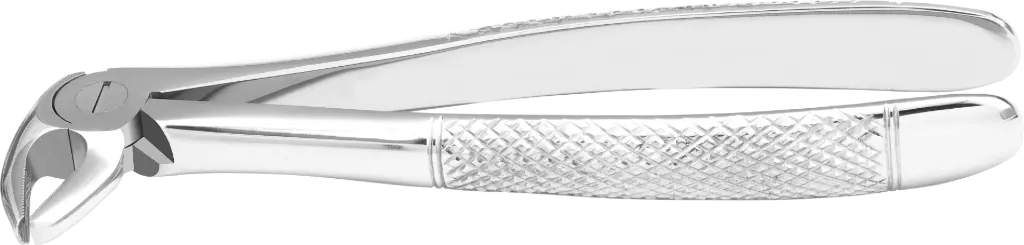 Lower Premolars - Individual - Standard