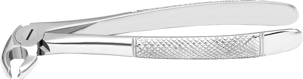 Lower Molars - Individual -Standard