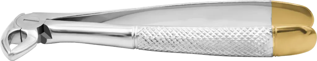 Lower incisor & Canine - Individual -Gold Plated