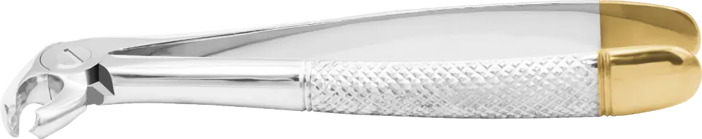 Lower Molars - Individual - Gold Plated