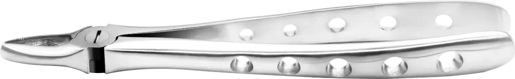 Upper incisors & Canines - Individual -Anatomical Handle