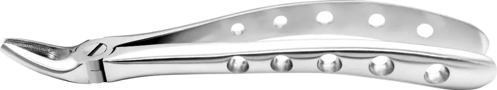 Upper Premolars - Individual - Anatomical Handle