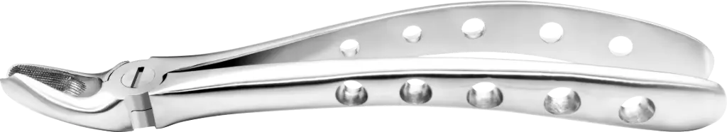 Upper Molars, Right - Individual - Anatomical Handle