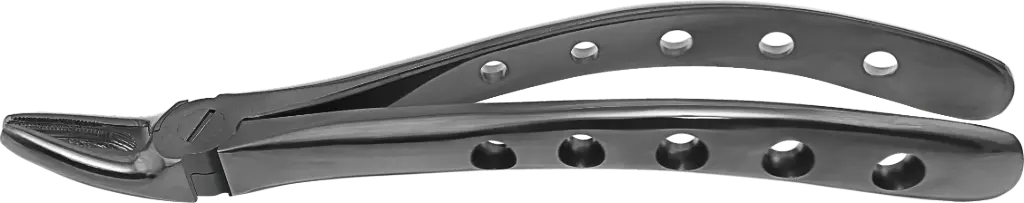 Upper Premolars - Individual - Plasma Black