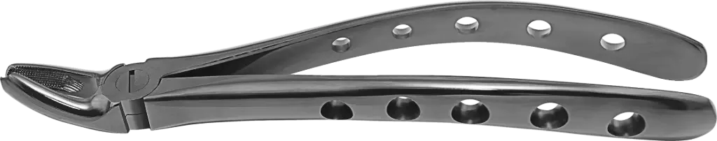 Upper Molars, Right - Individual - Plasma Black