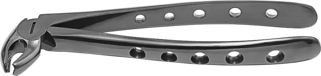 Lower Molars - Individual - Plasma Black