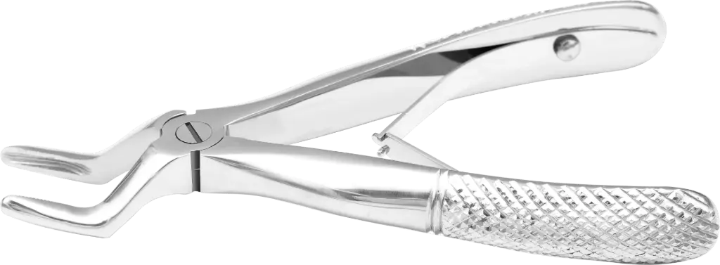 Klein upper roots- Individual - Standard - Paediatric