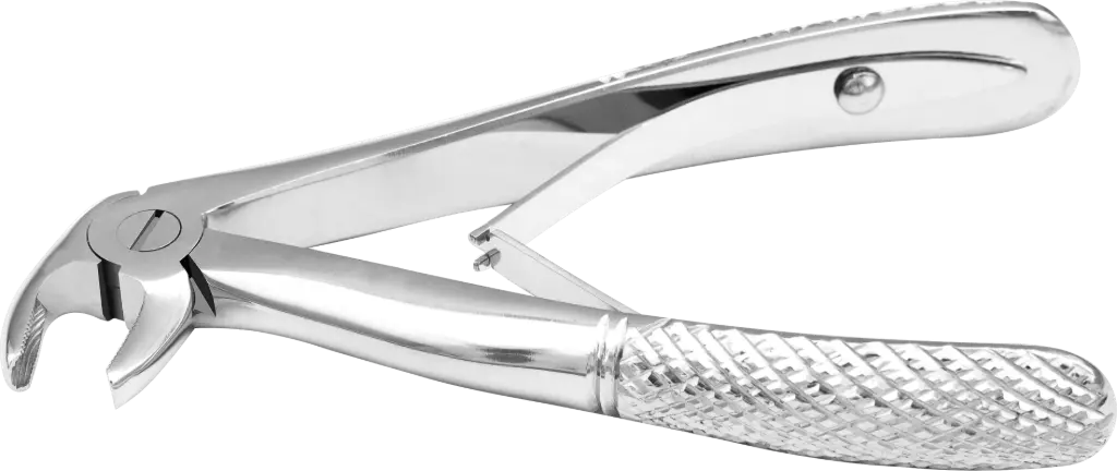 Klein lower incisors & Canine - Individual - Standard - Paediatric