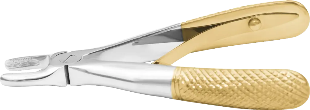 Klein upper incisors & Canines - Individual - Gold Plated - Paediatric
