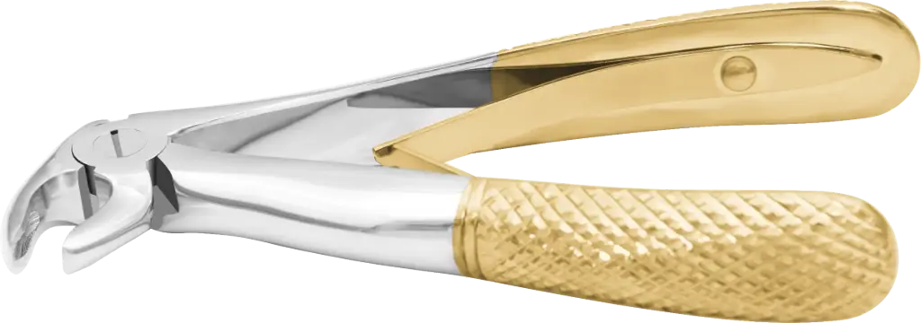 Klein lower roots- Individual - Gold Plated - Paediatric