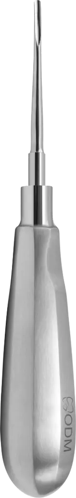 Root Elevator Luxator  2mm Slightly Curved Outward - standard - Adult