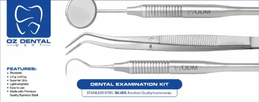 Dental Examination Kit - Silver - Set of 03