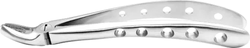 Upper Molars, Left - Individual - Anatomical Handle