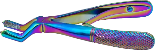 Klein upper molar - Individual - Rainbow Color - Paediatric